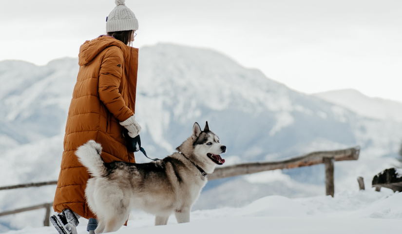 Зима в планината! Най-красивите места, заснети от участниците в конкурса Winterspiration